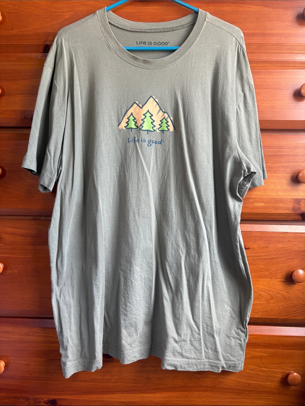 Life Is Good Men’s Sage-Green Mountain & Trees Graphic Tee